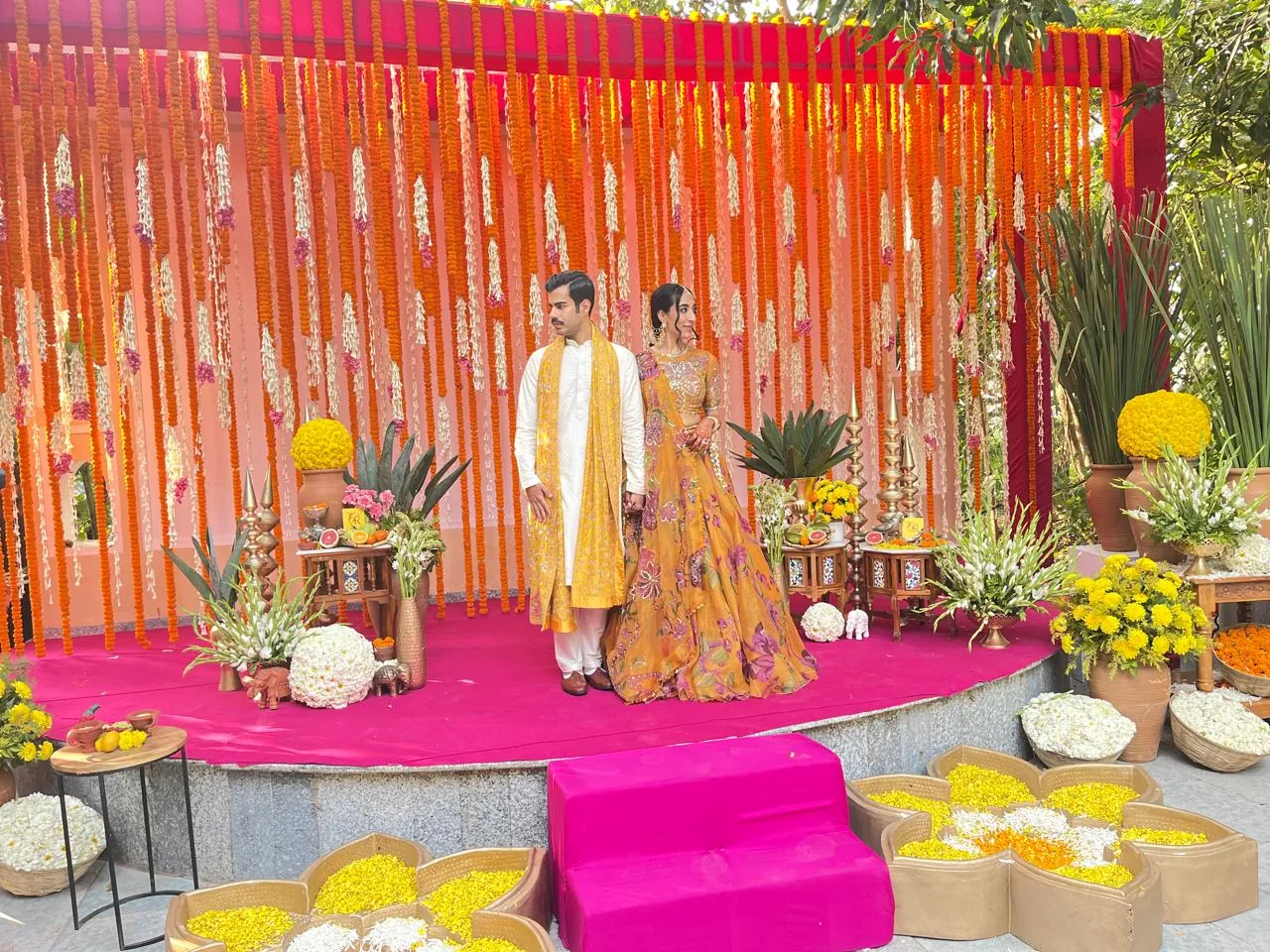A Ranthambore celebration